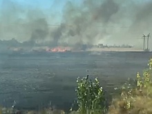 В Ростовской области ввели режим ЧС из-за сухой погоды