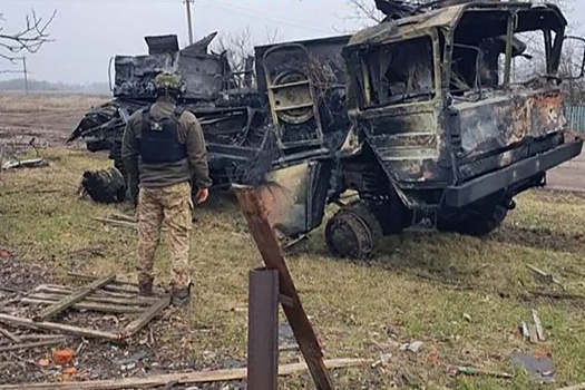 На Украине уничтожили одну из двух поставленных ВСУ немецких зениток Skynex