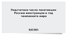 Подсчитано число посетивших Россию иностранцев в год чемпионата мира