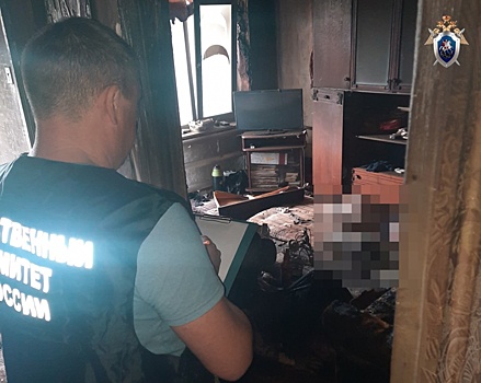 Следователи заинтересовались гибелью двух мужчин на пожаре в Сергаче