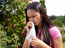 Тополиный пух переносит на себе множество других аллергенов