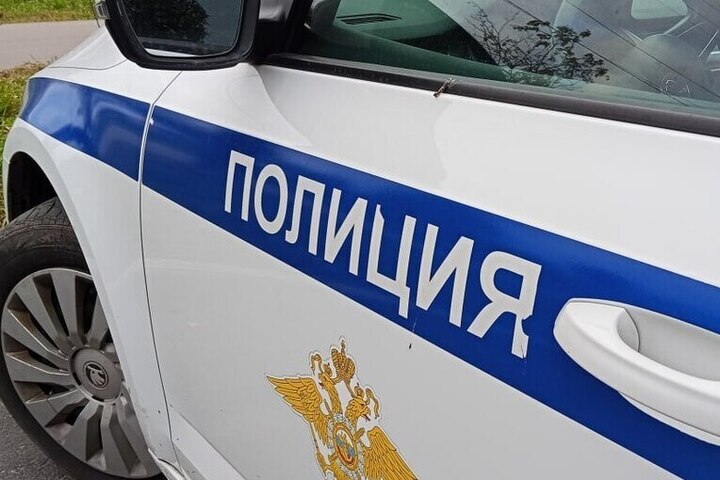 В Пушкине подросток выстрелил в пассажира автобуса