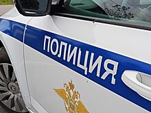 В Пушкине подросток выстрелил в пассажира автобуса