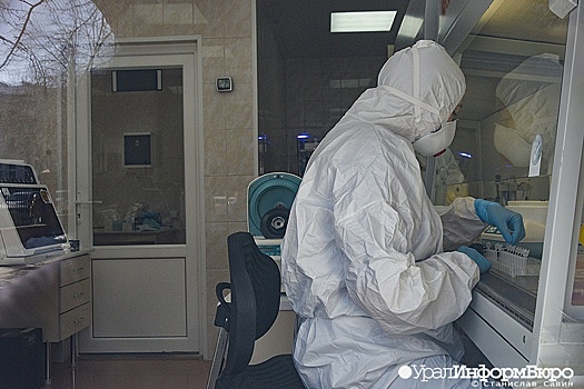 "Мы ослабили коронавирус". Академик Зверев рассказал об опытах в Институте Мечникова