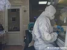 "Мы ослабили коронавирус". Академик Зверев рассказал об опытах в Институте Мечникова