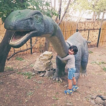 «Давай его возьмем жить к нам!»: сын Анфисы Чеховой завел друга-динозавра