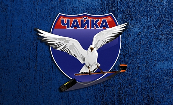 В Нижнем Новгороде завершился турнир памяти Рогова, «Чайка» — победитель