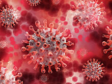 «Ковидный хвост» — спутник переболевших. Он может поразить весь организм