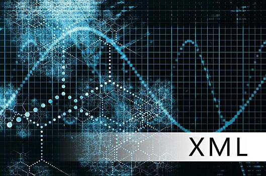 Экспертные заключения теперь готовятся в формате XML
