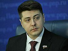 Депутат призвал не поддаваться панике из-за сообщений СМИ о локализации такси