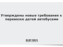 Утверждены новые требования к перевозке детей автобусами