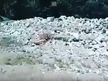 Чиновник отобрал у народа кусок пляжа