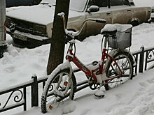 Синоптик рассказал, когда утихнет аномальный снегопад в Москве