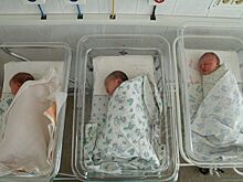 В Армавире за сутки родились трое младенцев