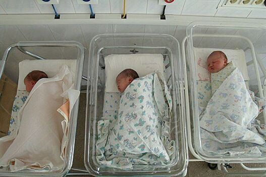 В Армавире за сутки родились трое младенцев