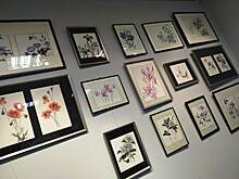 Выставка «Цветы четырёх сезонов Японии» продлится в СЗАО до конца ноября