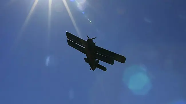 Росавиация: пострадавших при жёсткой посадке Ан-2 под Архангельском нет