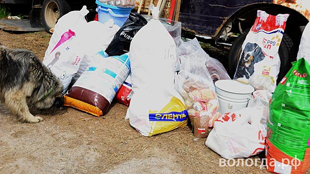 Еще 600 кг гуманитарной помощи передали жители Вологды в приют для животных