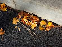 Часть пр-та Революции закроют для пешеходов