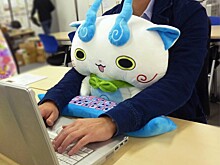 Подушки для здоровой работы за компьютером — новый хит японских офисов