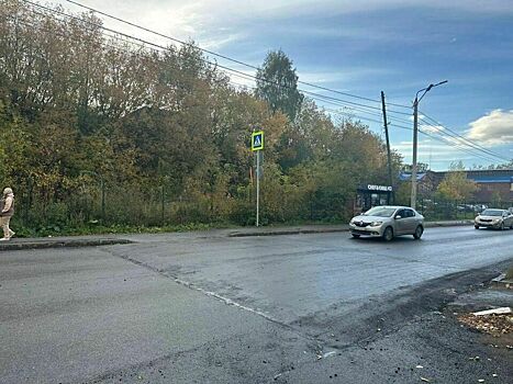 На Заводской установили искусственную неровность совмещенную с пешеходным переходом