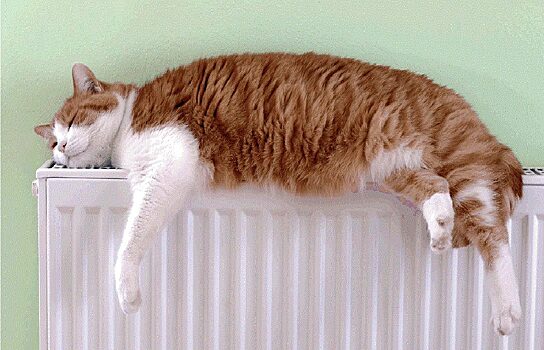 Свердловская область готова к зиме на 70 процентов