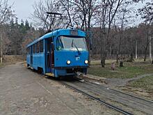 Вырубку 119 деревьев на КЗТЗ ради трамвайных путей предложили обсудить с курянами