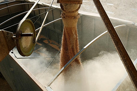 В Армении заявили начале поставок российской пшеницы в страну через Азербайджан