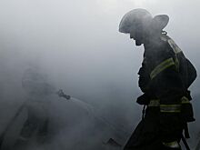 В Подмосковье четыре человека погибли при пожаре в агрокомплексе