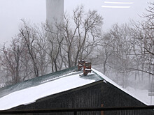 Выбитые окна, оторванные крыши и брошенные машины: как Владивосток проснулся после снежной бури