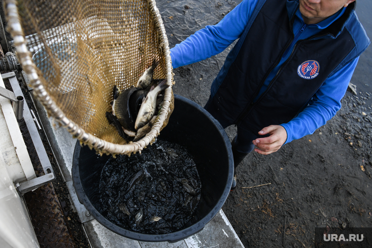 Власти ЯНАО построят новый цех рыбопереработки на условиях софинансирования