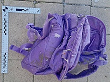 Прокуратура узнала, кто увел из дома ребенка, чьи фрагменты тела нашли в Москве