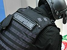 Взрывное устройство нашли у магистрального нефтепровода в Ленобласти