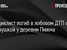 Мотоциклист погиб в лобовом ДТП с легковушкой у деревни Пижма