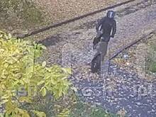 Раскрыта личность подозреваемого в покушении на жену российского бизнесмена