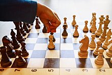 В Минске готовятся к Всемирной шахматной олимпиаде