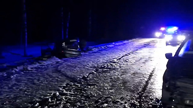 Взрослый и ребенок пострадали в столкновении трех иномарок в Дальнеконстантиновском районе