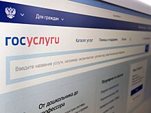 На Госуслугах заработал сервис по самозапрету на кредиты и займы