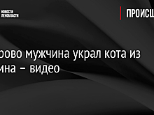В администрации Зеленоградска объяснили, почему с променада пропали качели