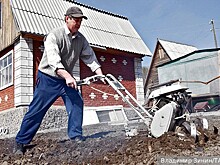 Терапевт Воробьев дал советы, как мужчинам работать на даче без вреда для здоровья