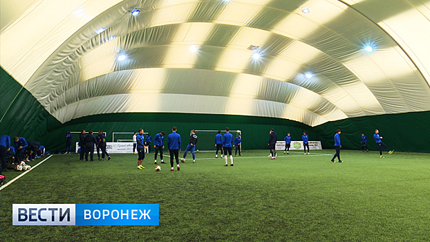 Воронежский ФК «Факел» начал работу над обновлением состава