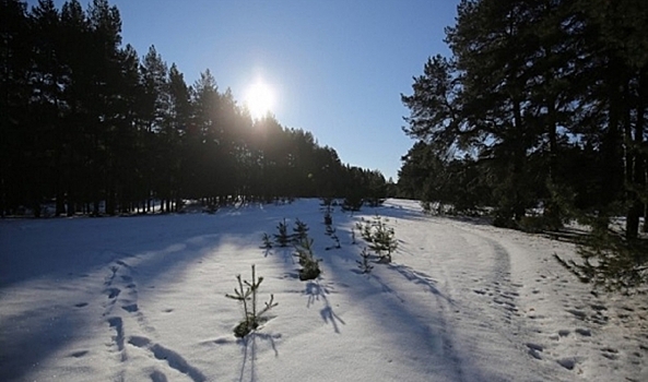 Магнитная буря не грозит волгоградцам 1 февраля 2026 года