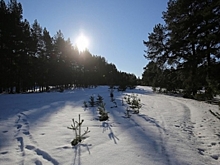 Магнитная буря не грозит волгоградцам 1 февраля 2026 года