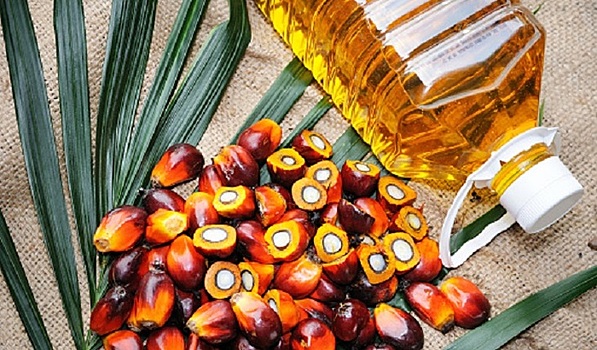 В России вырос импорт пальмового масла