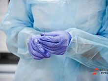 ЕАН: в двух городах Свердловской области ввели карантин до начала мая