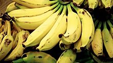 Аналитик предупредил о возможном исчезновении бананов с прилавков