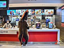 Производство газировки, сигарет и KFC уходят из Волгоградской области