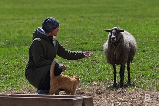 Татарстан вошел в тройку лидеров по выдаче сельской ипотеки