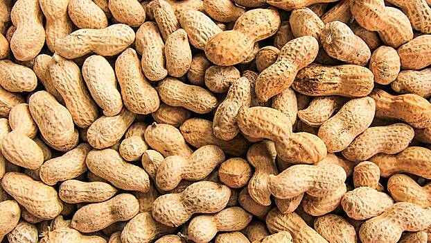 Диетолог Цуканова рассказала о пользе арахиса для женщин после 50 лет