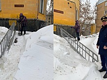 Сотрудницу УК оштрафовали за сломанный позвоночник ребенка в Новосибирске